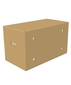 Regular Slotted Containers (RSC) with Die Cut